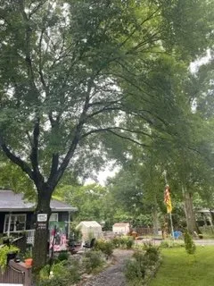 Expert yard maintenance for year-round maintenance in Cockeysville, MD by CM Construction Renovation