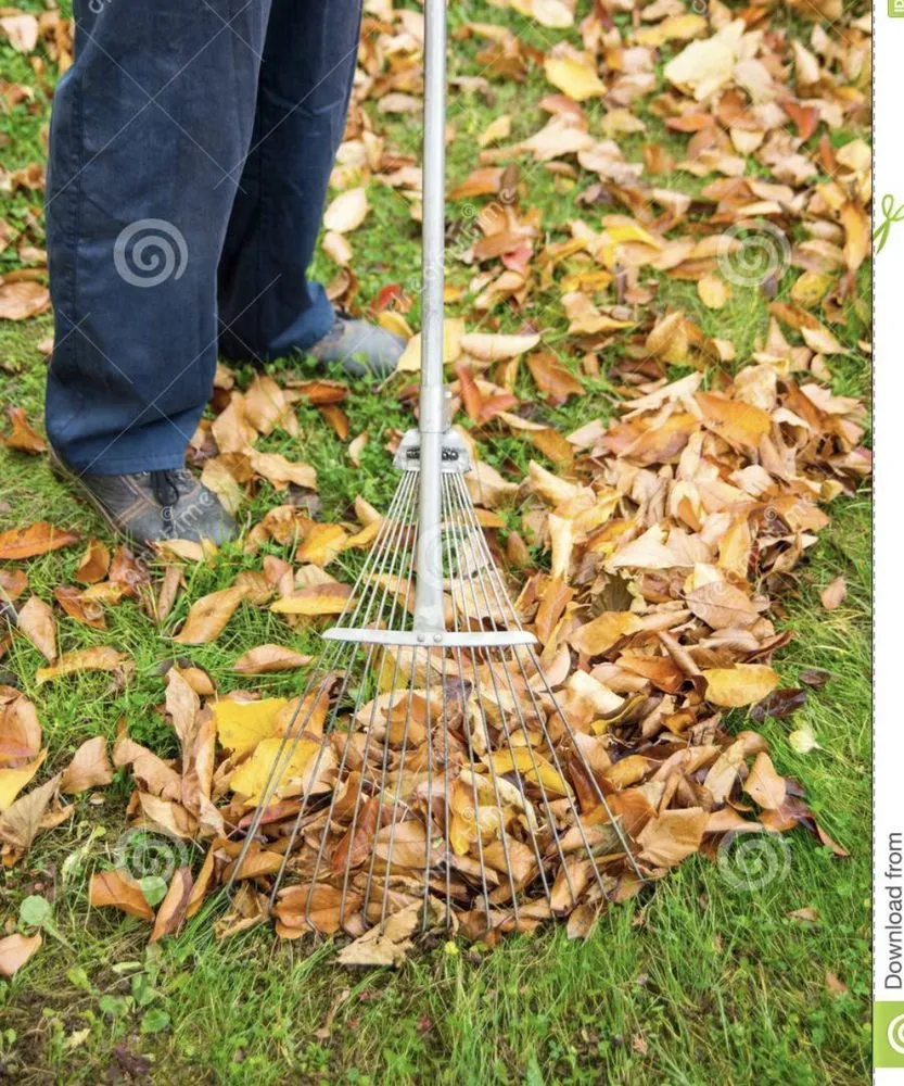 Professional outdoor landscaping experts serving Layton, UT - C&M Edge Company