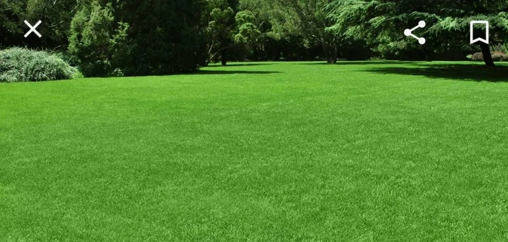 Custom landscaping services in Conley, GA - CM FACTORY LAWN CARE