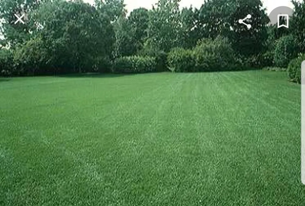 Professional residential landscaping in Conley, GA by CM FACTORY LAWN CARE
