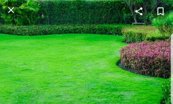 CM FACTORY LAWN CARE