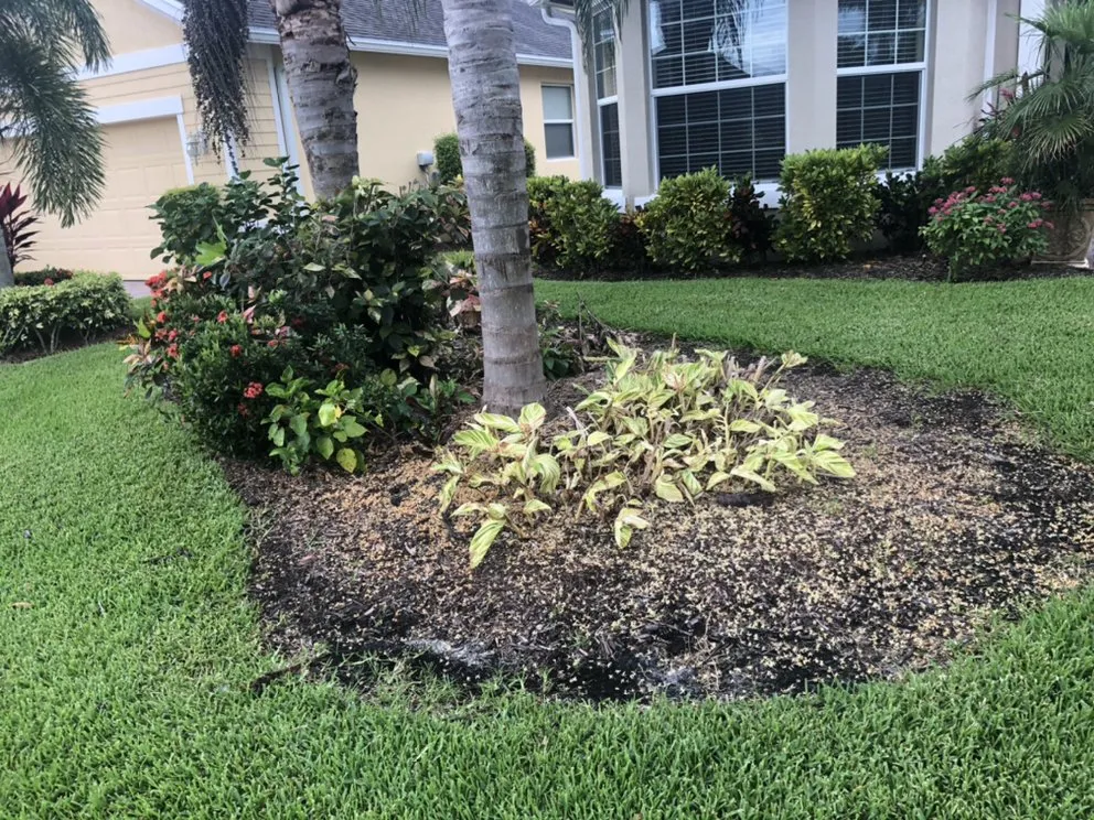 Affordable lawn mowing service with custom design in Port St. Lucie, FL by CM Gatling Landscaping