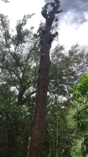 Local lawn care service near you across Port St. Lucie, FL - CM Gatling Landscaping