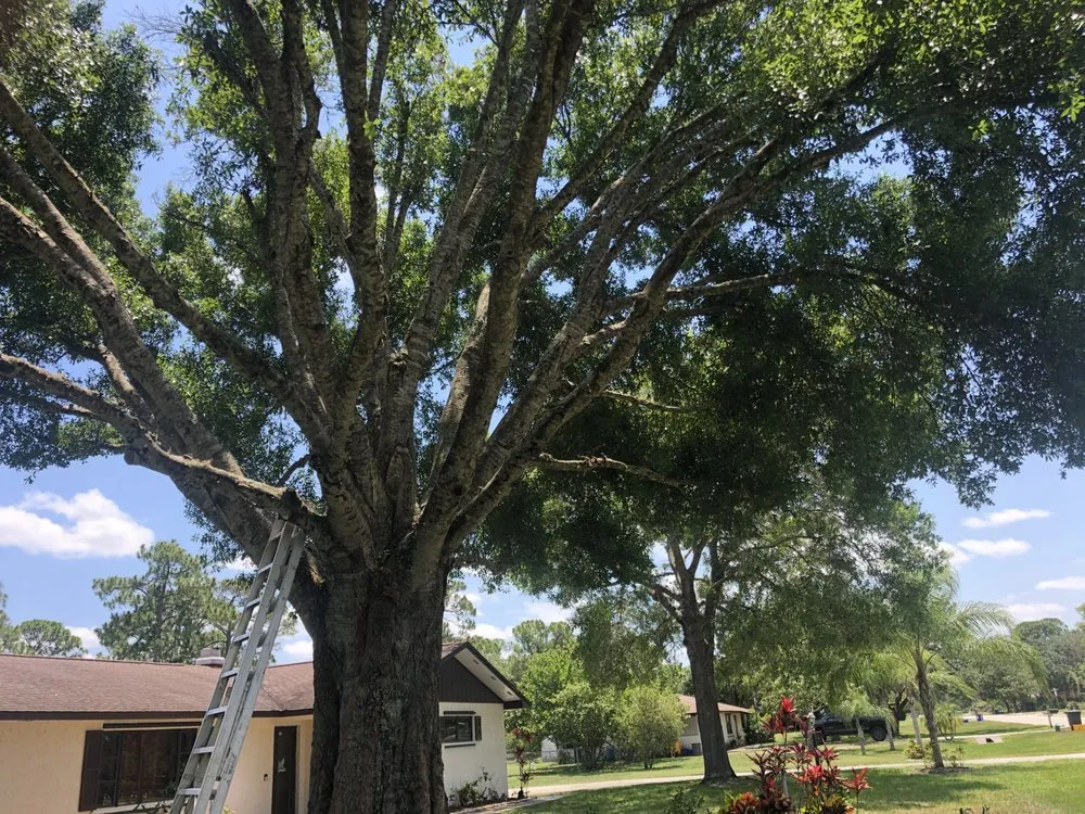 Trusted garden landscaping in Port St. Lucie, FL - CM Gatling Landscaping