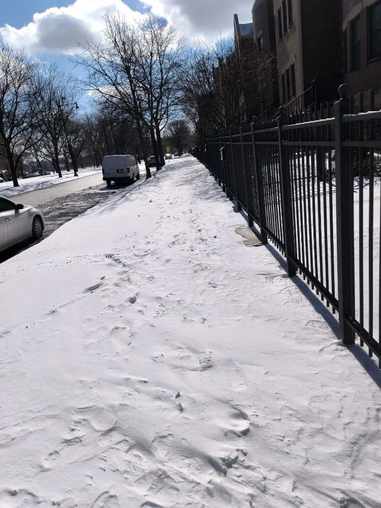 Custom landscape design for outdoor upgrades across Chicago, IL - C&M Group