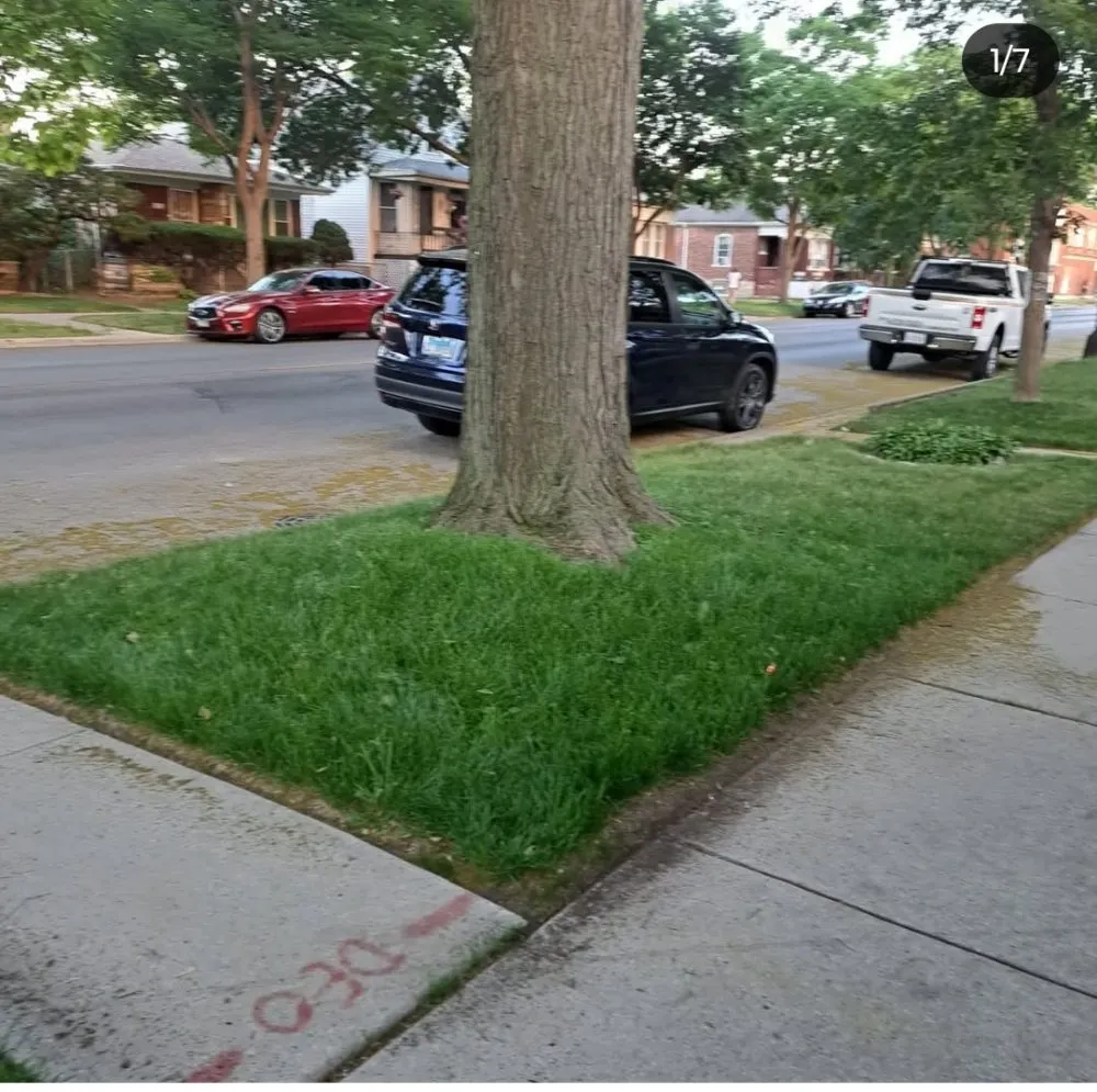 Reliable landscape installation in Chicago, IL - C&M Group