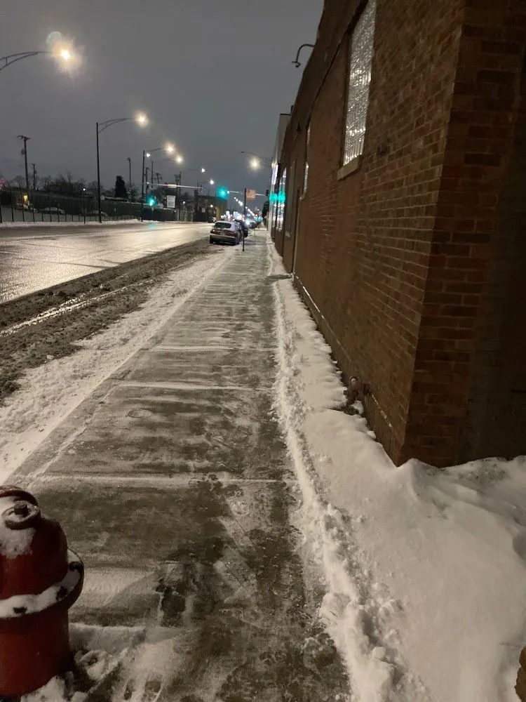 Professional yard cleanup service for beautiful yards across Chicago, IL - C&M Group