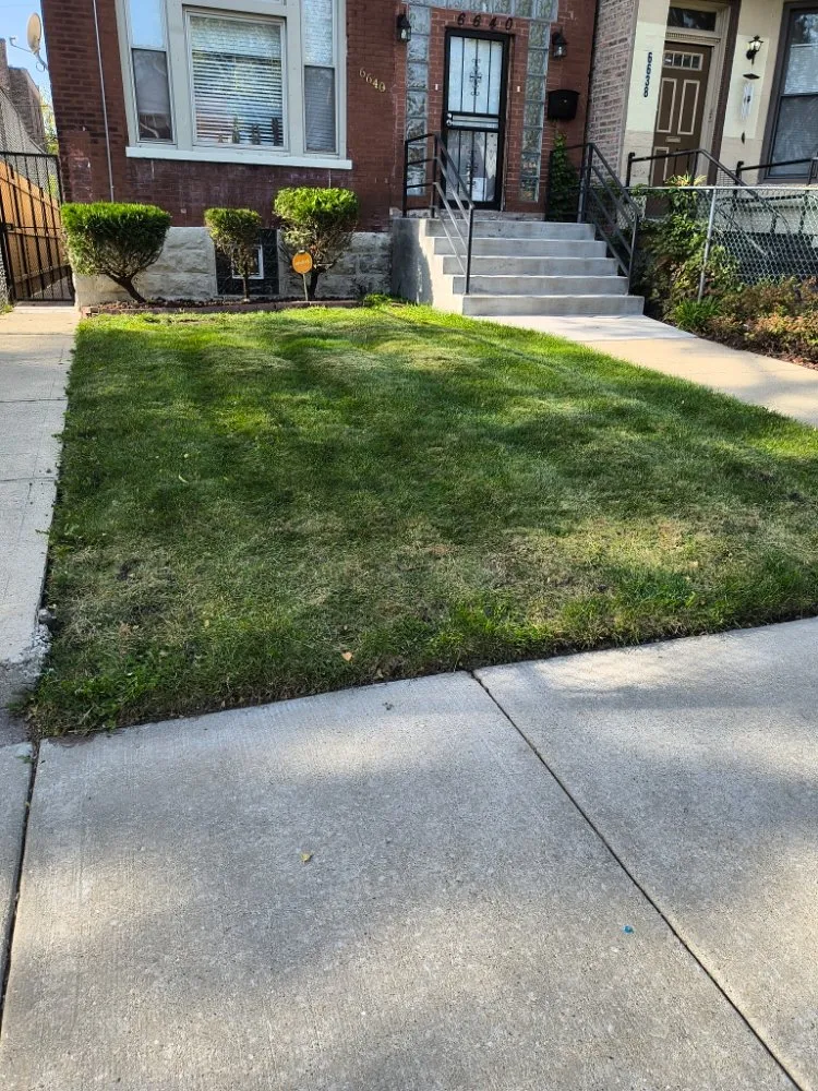 Local landscaping services in Chicago, IL by C&M Group