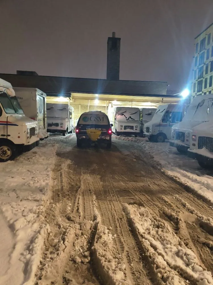 Top-rated lawn care service for residential properties in Chicago, IL by C&M Group