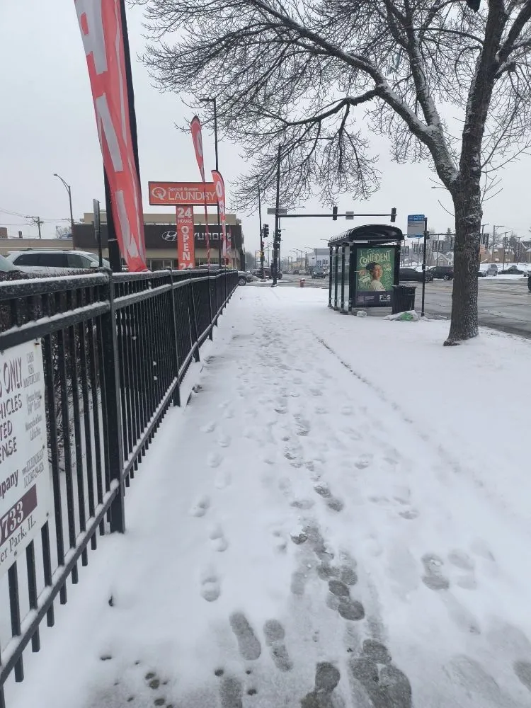 Expert landscape installation experts serving Chicago, IL - C&M Group