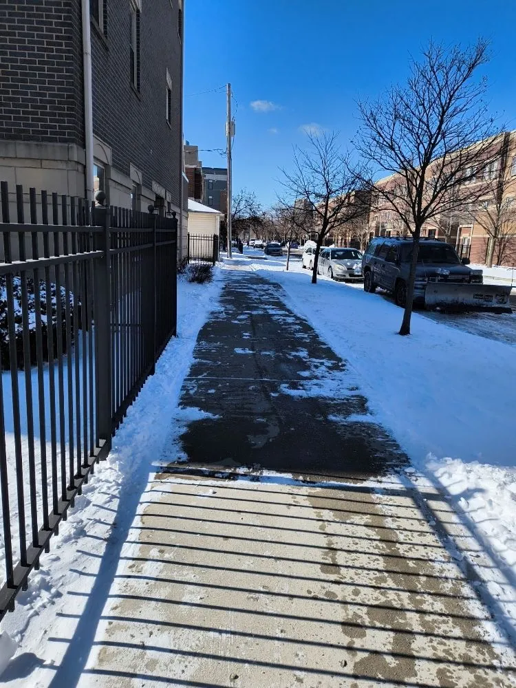 Professional landscaping services in Chicago, IL by C&M Group