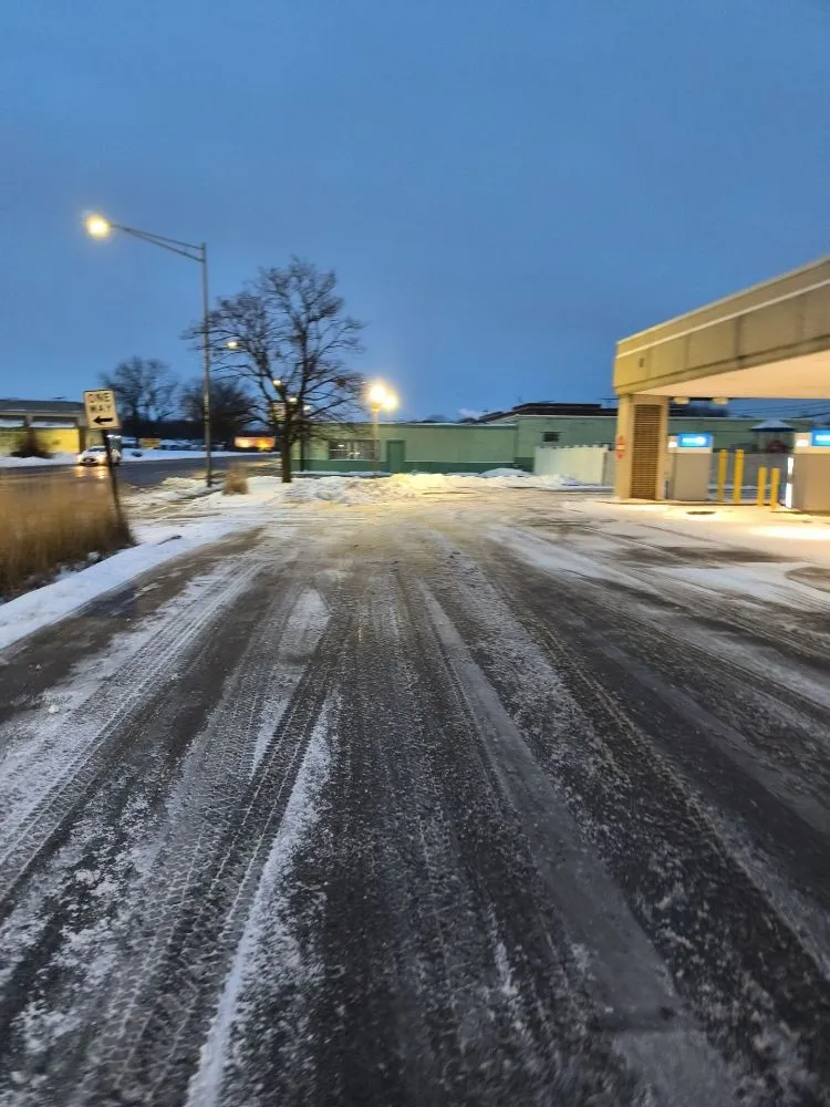 Local landscape installation in Chicago, IL by C&M Group