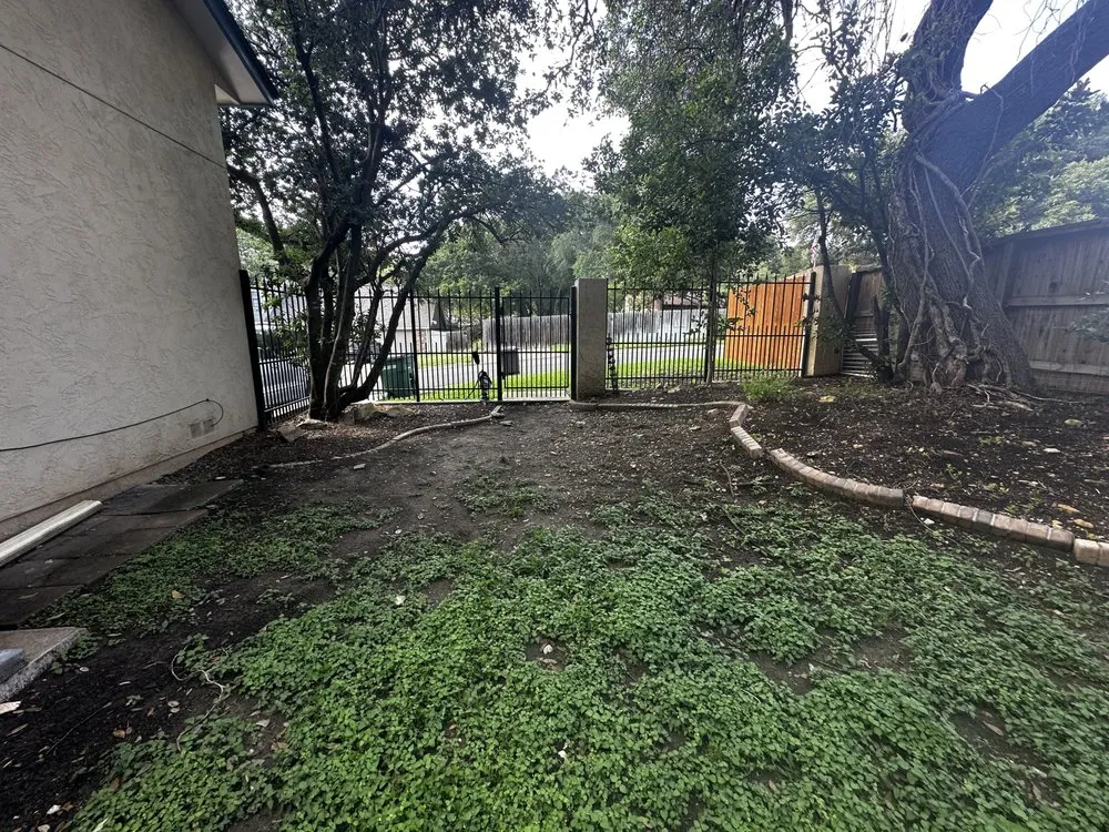 Expert landscape installation for outdoor upgrades in San Antonio, TX by CM Industries