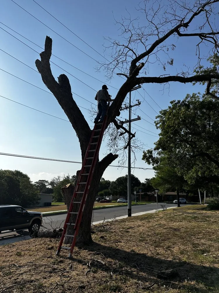 Local residential landscaping in San Antonio, TX - CM Industries