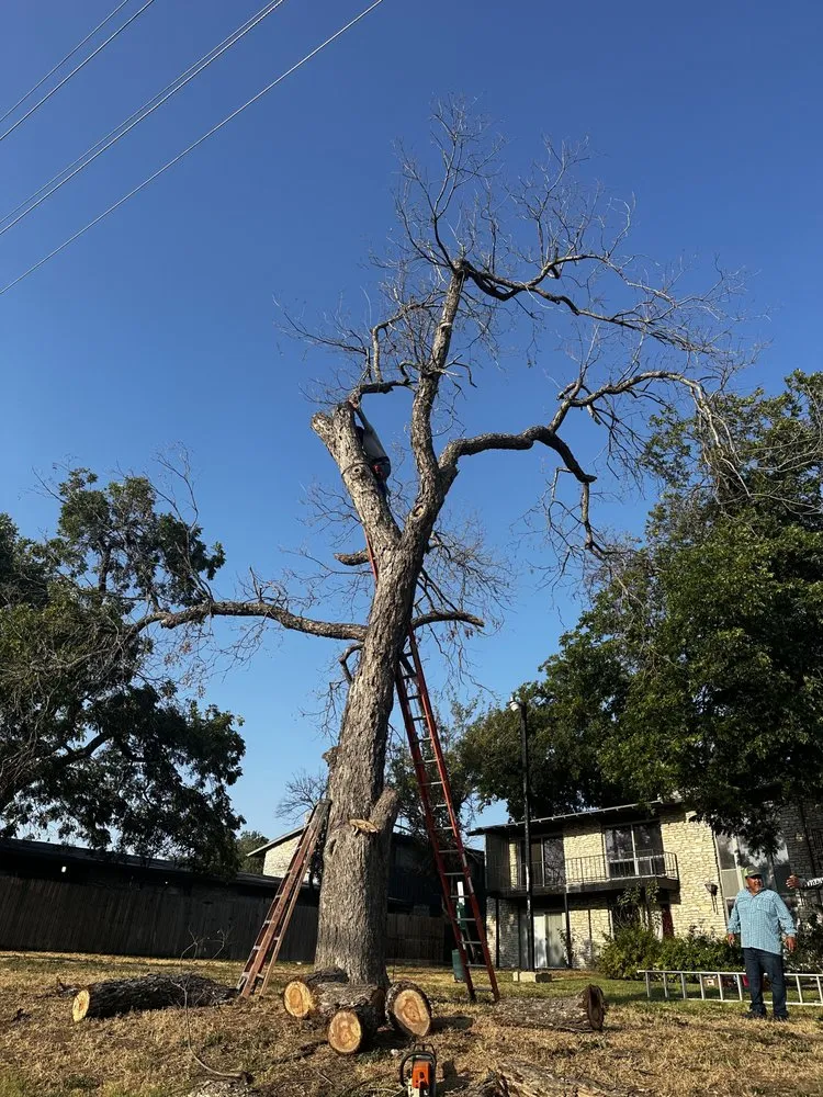 Expert landscape design near you across San Antonio, TX - CM Industries