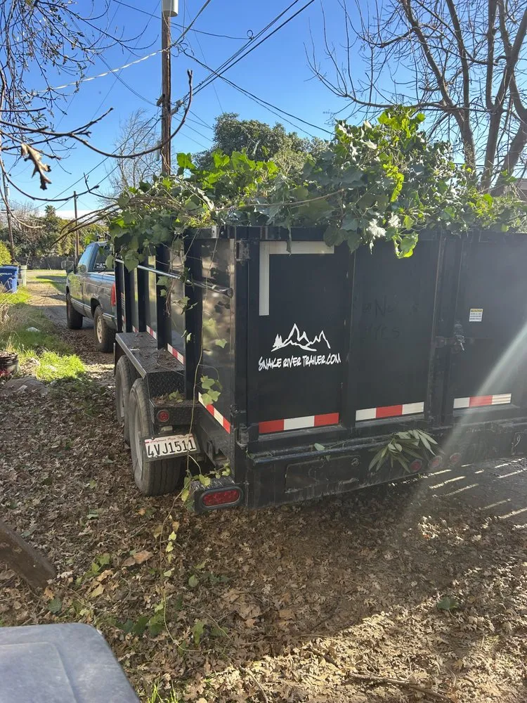 Reliable lawn care service in Patterson, CA by CM Junk Removal & Lawn Care