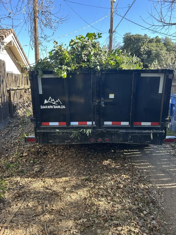 Affordable lawn mowing service in Patterson, CA - CM Junk Removal & Lawn Care