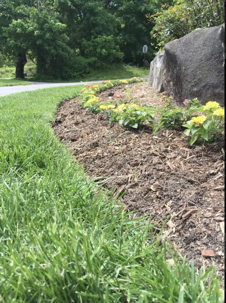 Custom landscaping services in East Northport, NY - CM Landscape & Lawn Maintenance