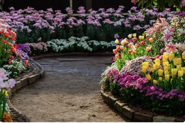 CM Landscape & Lawn Maintenance Logo