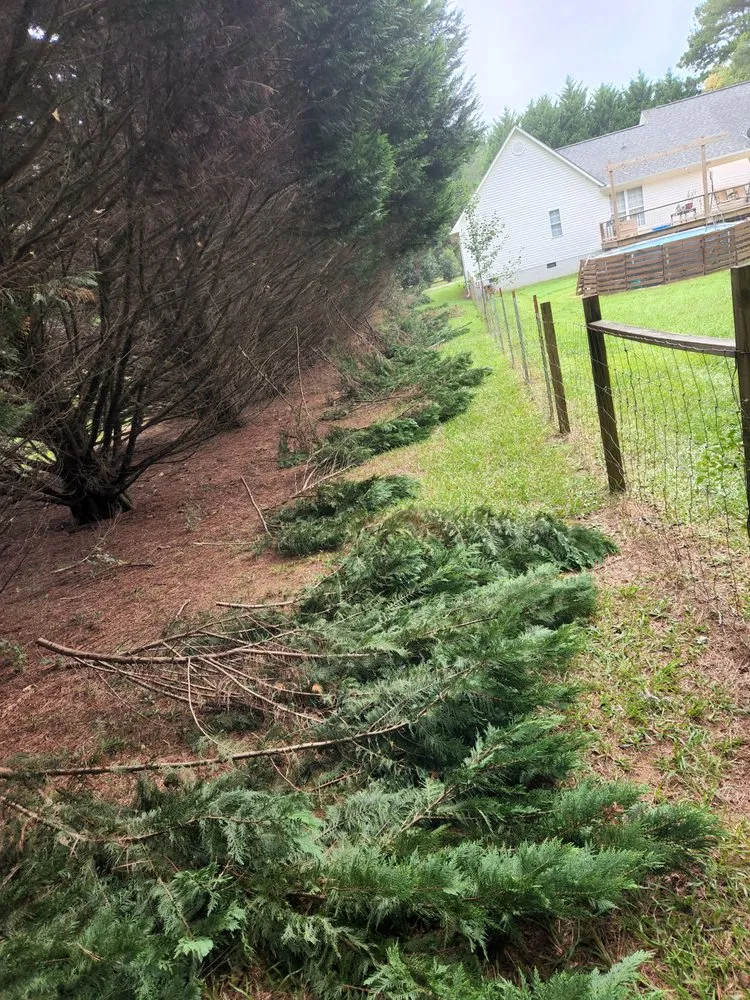 Top-rated yard cleanup service for homes in Athens, GA by C&M Landscape Management