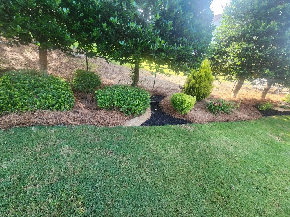 Reliable lawn care service in Athens, GA by C&M Landscape Management