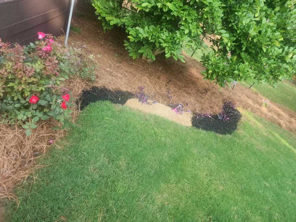 Reliable yard cleanup service for homes across Athens, GA - C&M Landscape Management