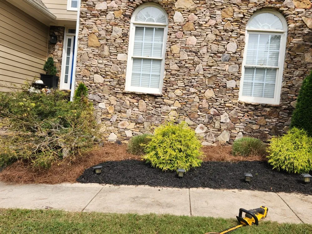 Reliable lawn care service in Athens, GA by C&M Landscape Management
