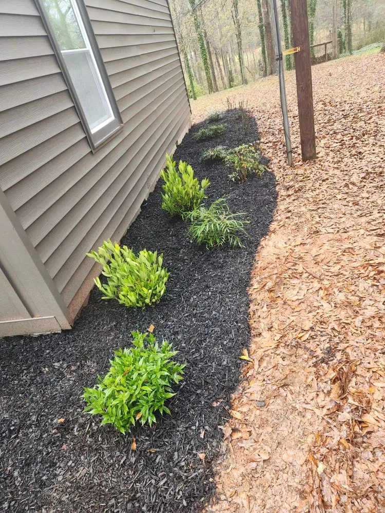 Affordable lawn care service near you in Athens, GA by C&M Landscape Management