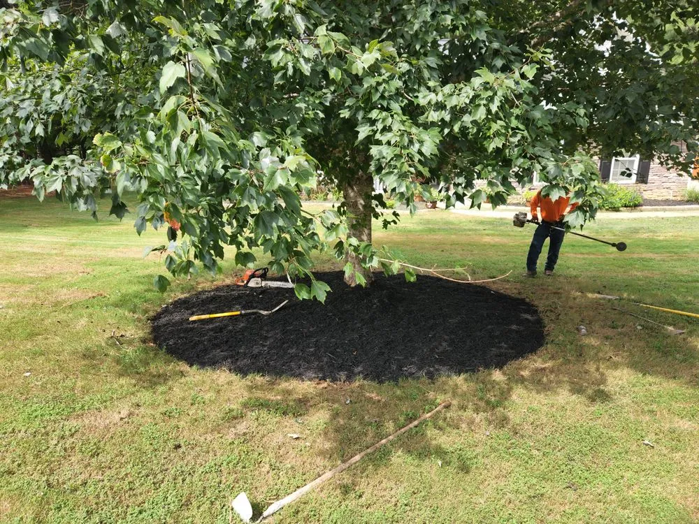 Trusted lawn care service for residential properties in Athens, GA by C&M Landscape Management