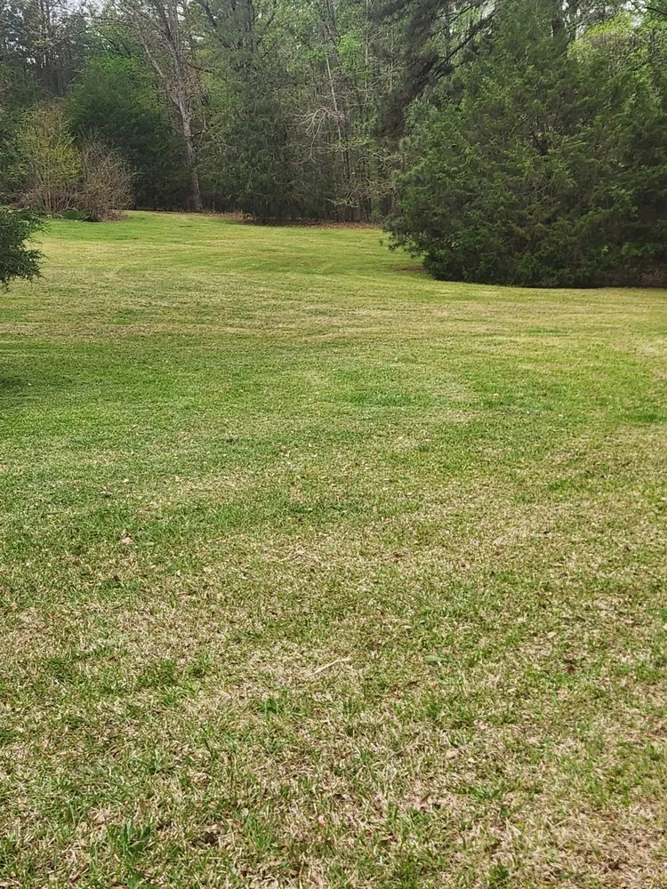 Professional landscape installation for beautiful yards across Athens, GA - C&M Landscape Management