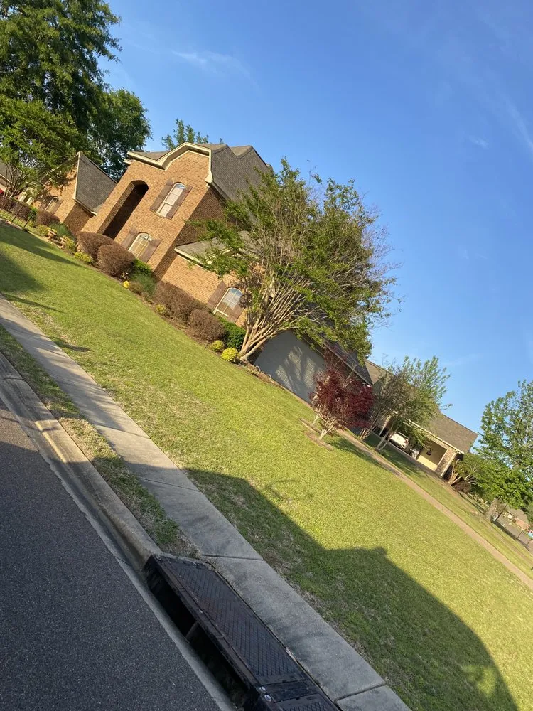 Reliable yard cleanup service for year-round maintenance in Brandon, MS by CM Landscapes