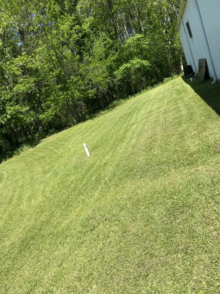 Trusted landscaping services in Brandon, MS - CM Landscapes