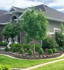 Custom landscaping services experts serving Brandon, MS - CM Landscapes