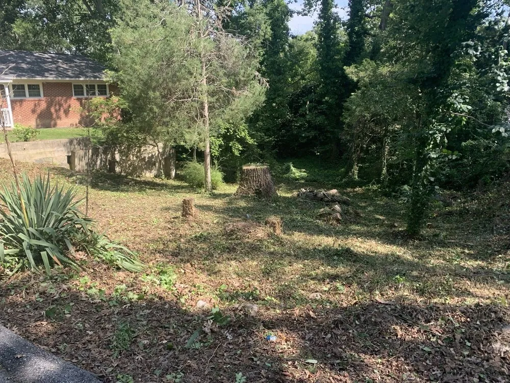 Professional landscaping services in Silver Spring, MD by CM Landscaping & Tree Services