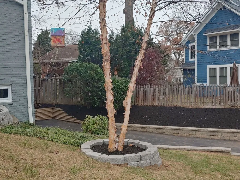 Custom outdoor landscaping with custom design in Silver Spring, MD by CM Landscaping & Tree Services