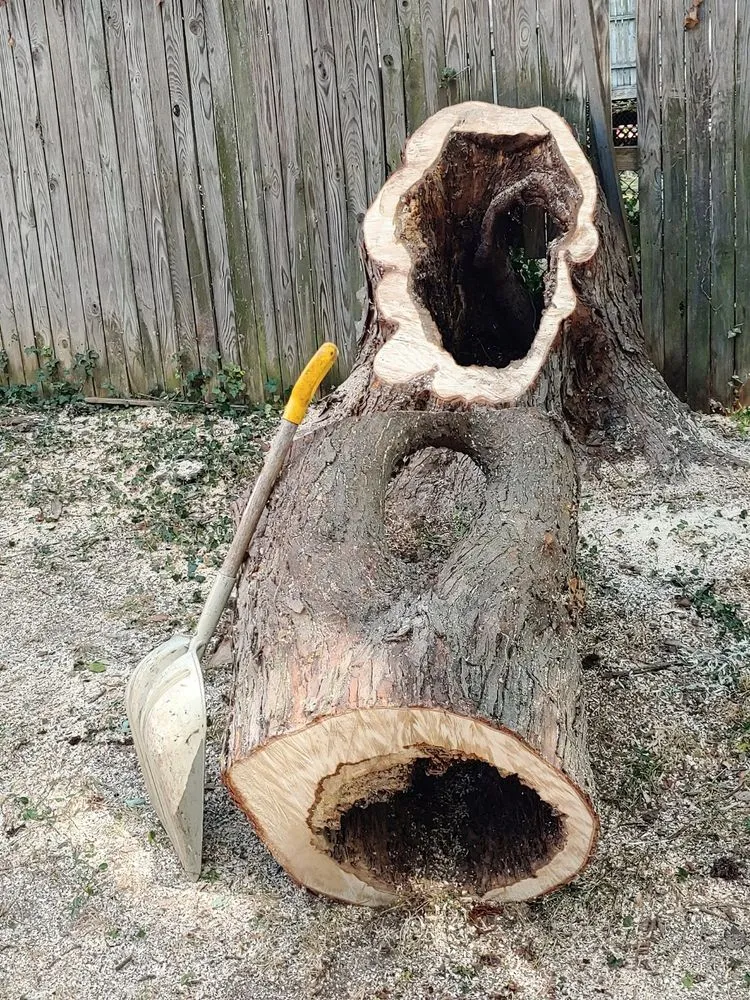 Professional garden landscaping in Silver Spring, MD - CM Landscaping & Tree Services