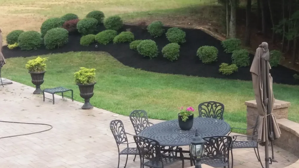 Top-rated outdoor landscaping experts serving Silver Spring, MD - CM Landscaping & Tree Services