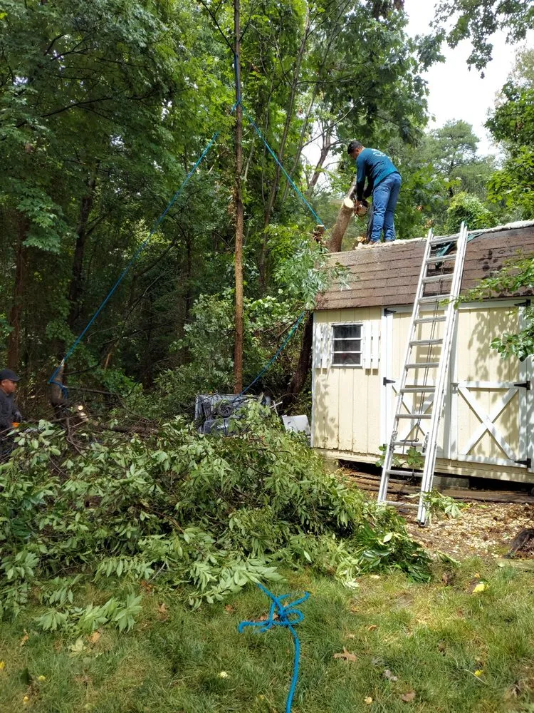 Affordable landscaping services for residential properties in Silver Spring, MD by CM Landscaping & Tree Services