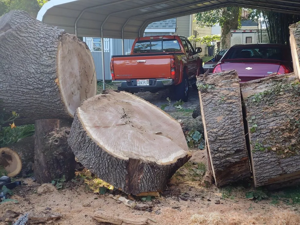 Professional landscape design with custom design across Silver Spring, MD - CM Landscaping & Tree Services