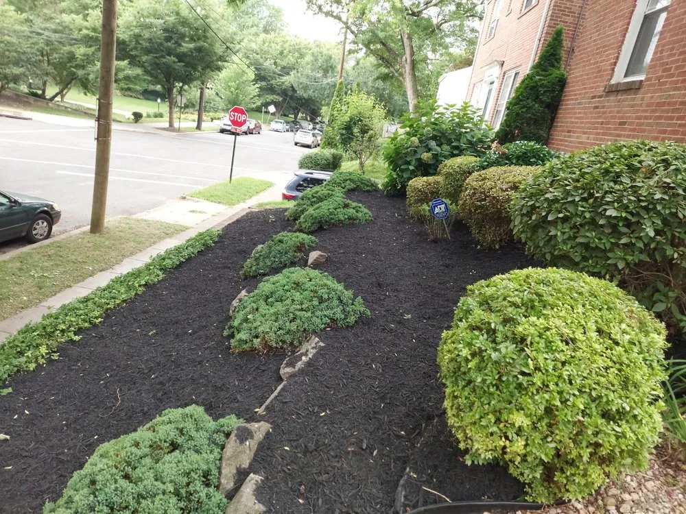 Top-rated landscape design for outdoor upgrades across Silver Spring, MD - CM Landscaping & Tree Services