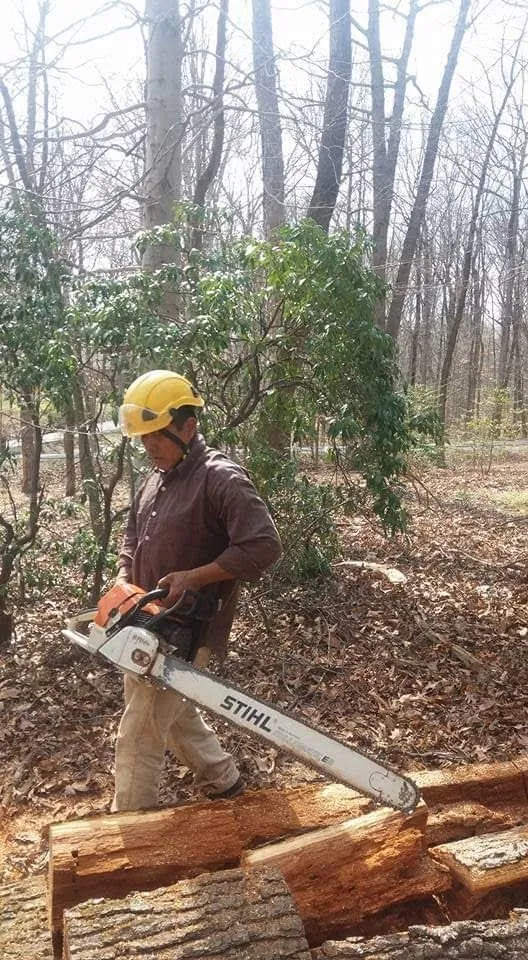 Reliable outdoor landscaping with custom design across Silver Spring, MD - CM Landscaping & Tree Services