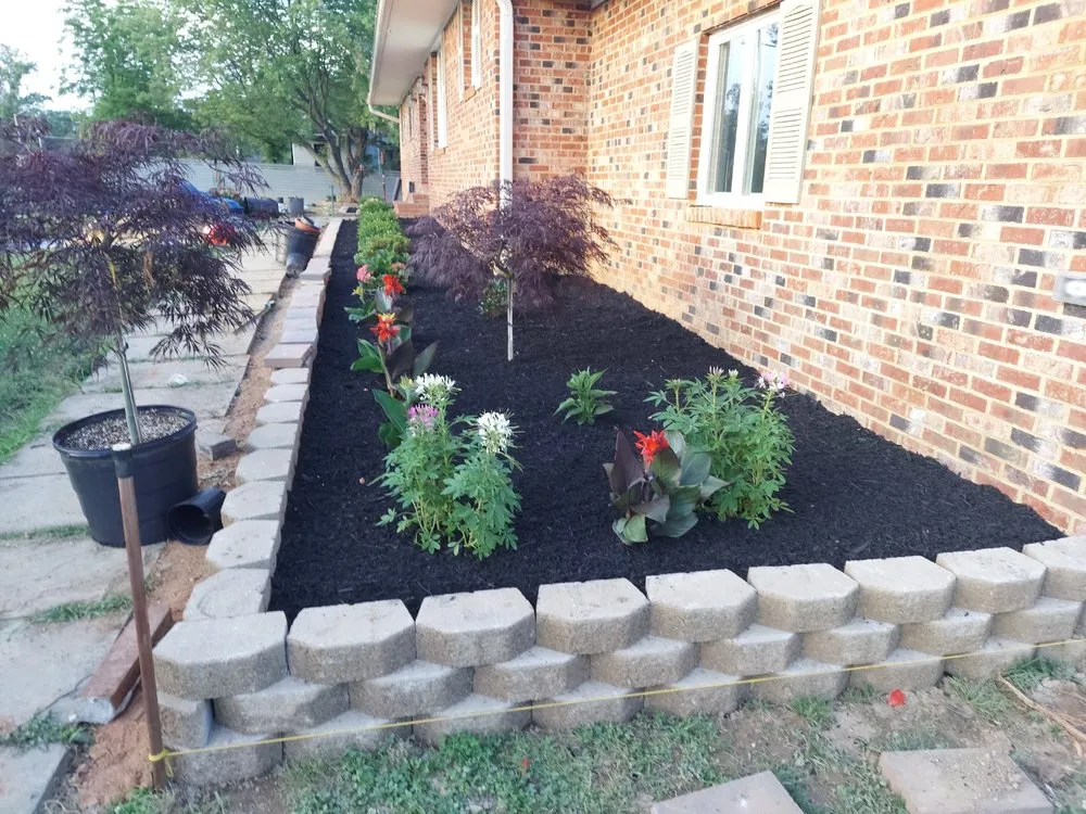 Top-rated yard maintenance in Silver Spring, MD - CM Landscaping & Tree Services