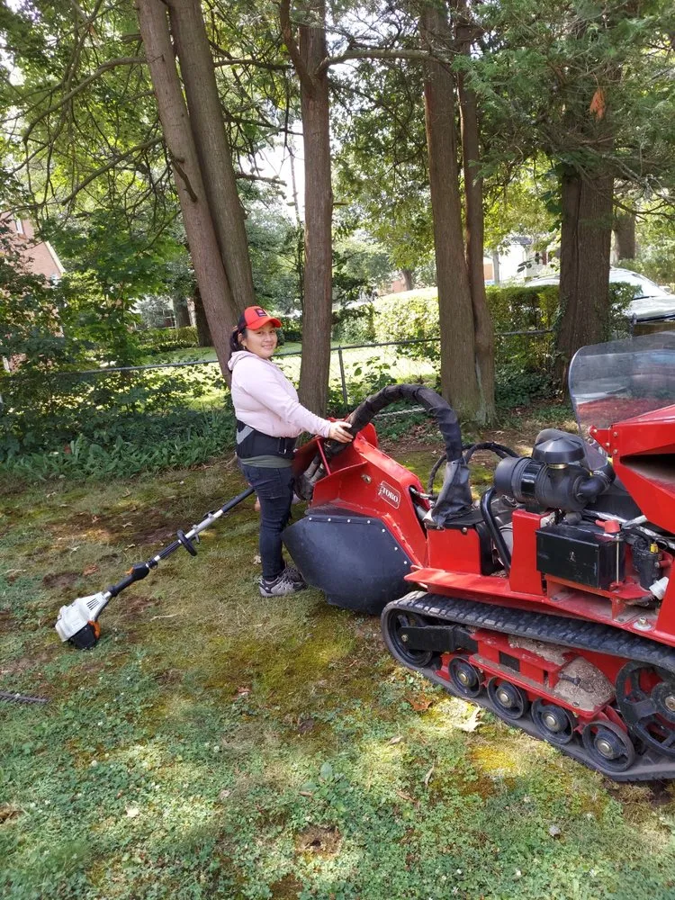 Custom yard maintenance in Silver Spring, MD - CM Landscaping & Tree Services