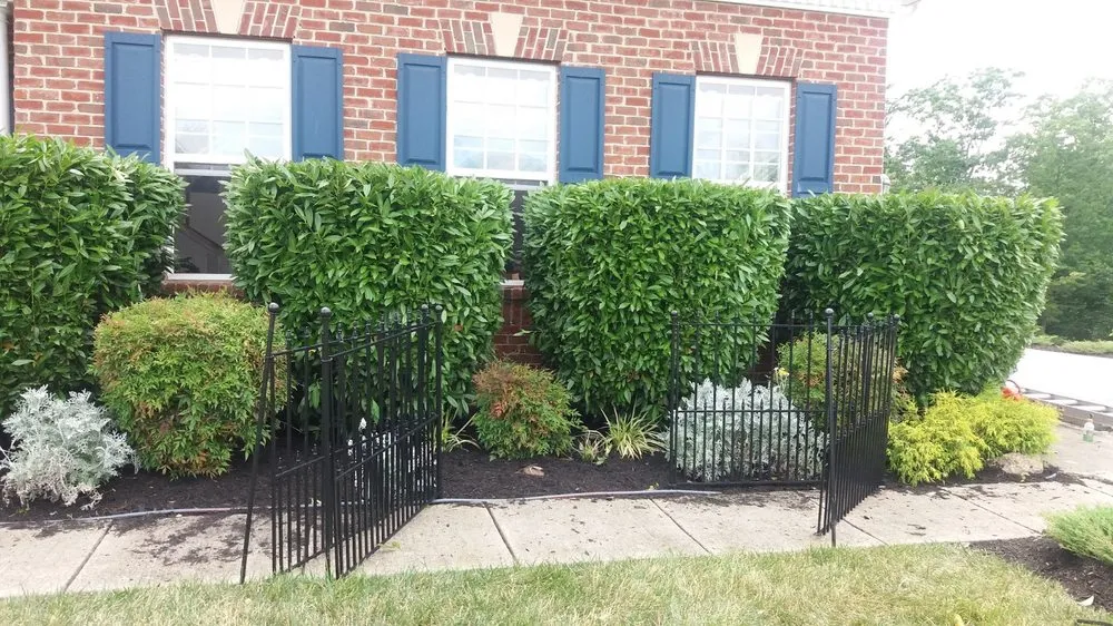 Affordable landscaping services experts serving Silver Spring, MD - CM Landscaping & Tree Services