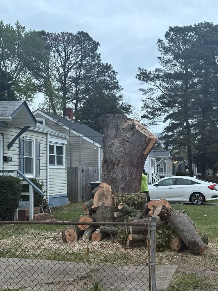 Trusted landscape design in Silver Spring, MD by CM Landscaping & Tree Services