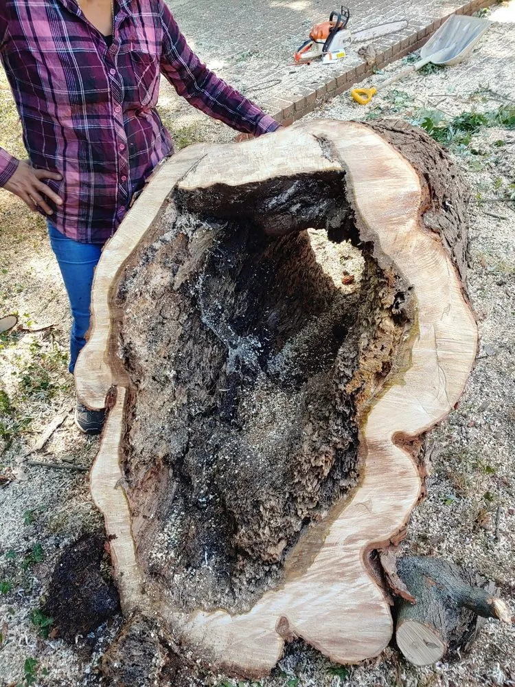 Expert yard maintenance experts serving Silver Spring, MD - CM Landscaping & Tree Services