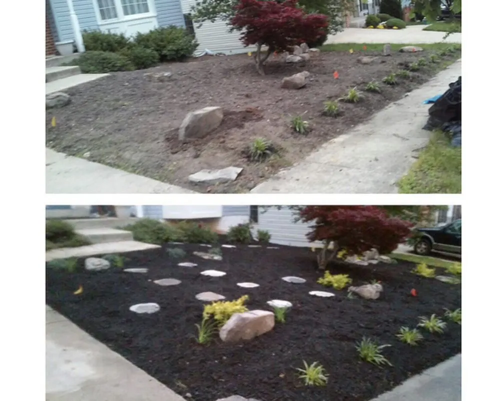 Expert yard maintenance in Ontario, CA by C&M Landscaping