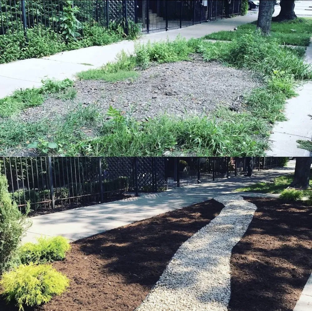 Reliable yard cleanup service near you in Ontario, CA by C&M Landscaping