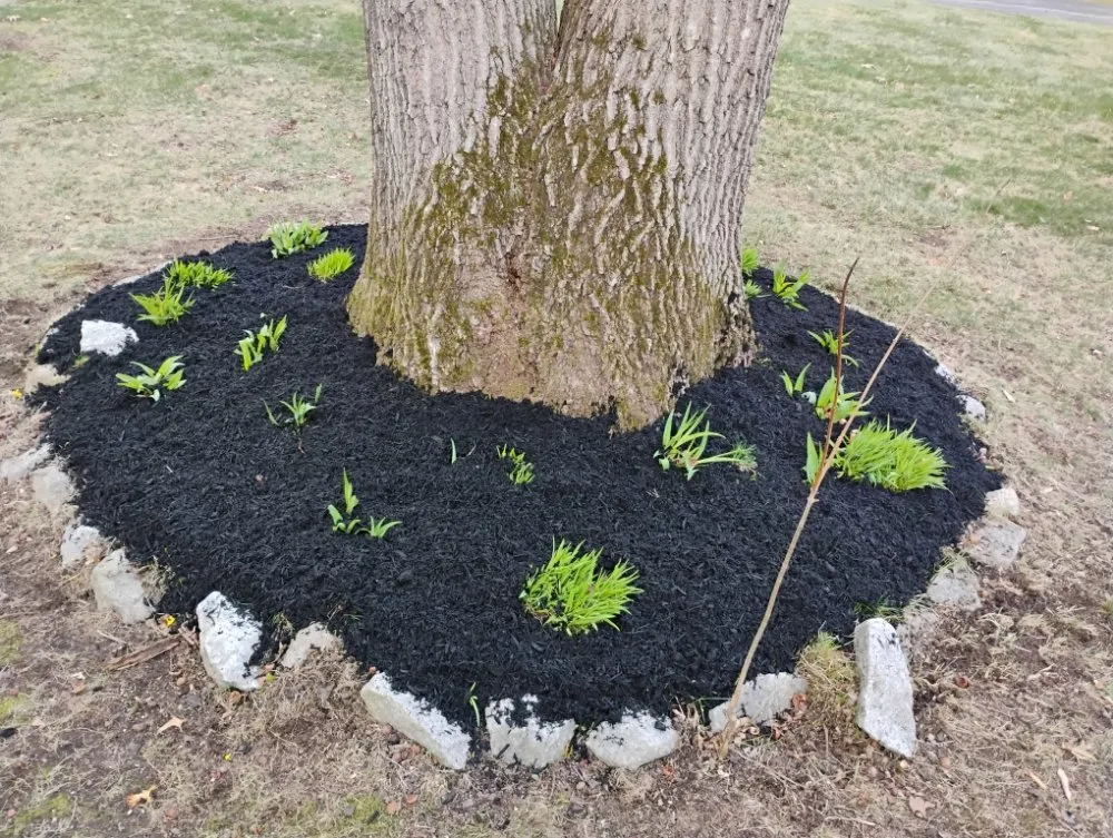 Affordable garden landscaping for outdoor upgrades in Richmond, RI by C&M Landscaping