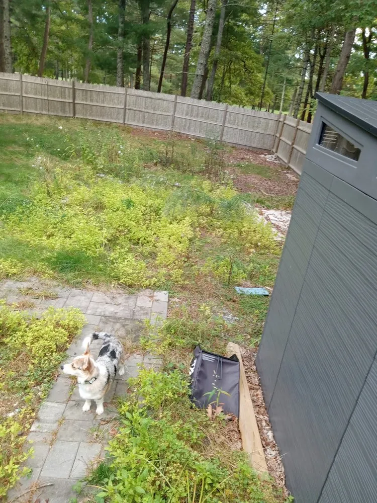 Expert yard maintenance experts serving Richmond, RI - C&M Landscaping